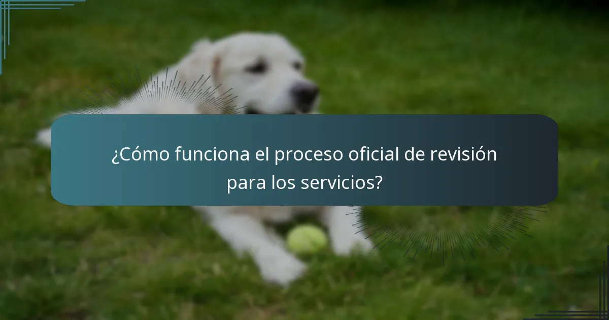¿Cómo funciona el proceso oficial de revisión para los servicios?