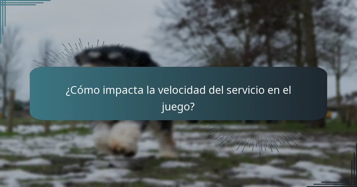 ¿Cómo impacta la velocidad del servicio en el juego?