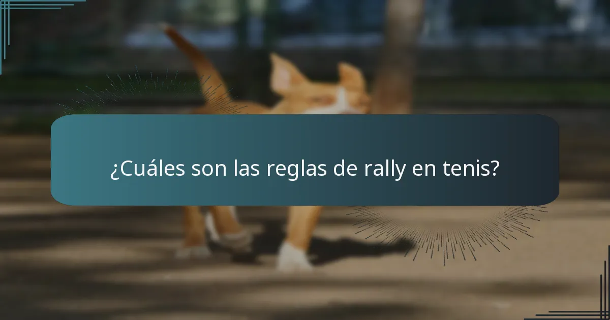 ¿Cuáles son las reglas de rally en tenis?