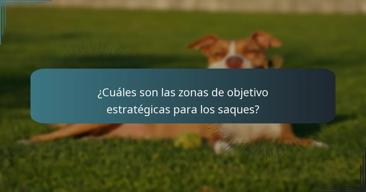 ¿Cuáles son las zonas de objetivo estratégicas para los saques?