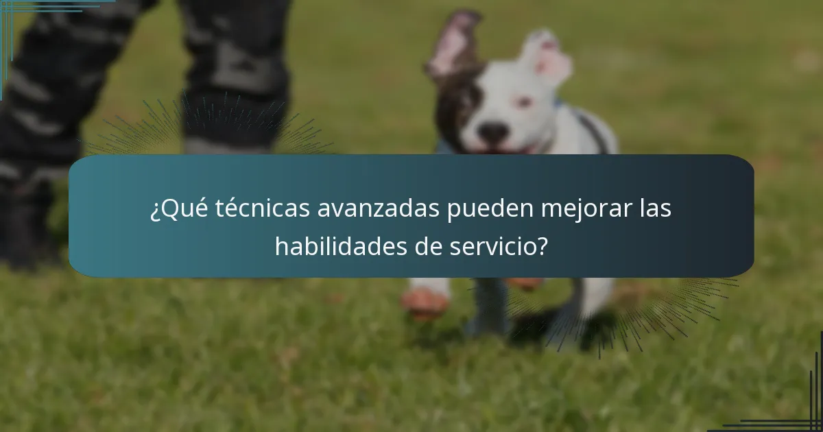 ¿Qué técnicas avanzadas pueden mejorar las habilidades de servicio?